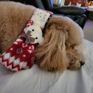 Meet your Posher, Laurie